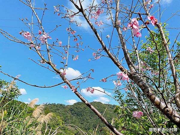 eZy Watermark_10-03-2023_09-44-16下午.JPG eZy Watermark_10-03-2023_09-44-16下午.JPG