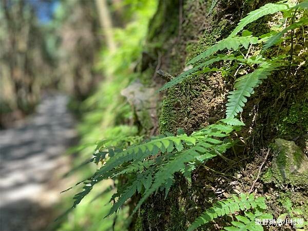 IMG_2721.JPG IMG_2721.JPG