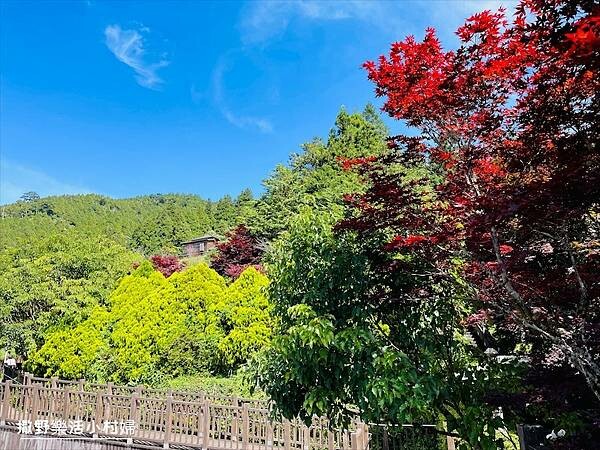 與太平山美麗的邂垢｜觀景台欣賞絕美晨曦日出，太平山莊附近景點