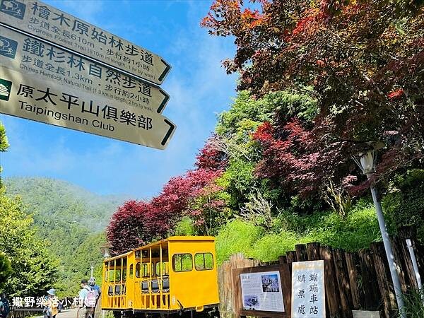 與太平山美麗的邂垢｜觀景台欣賞絕美晨曦日出，太平山莊附近景點
