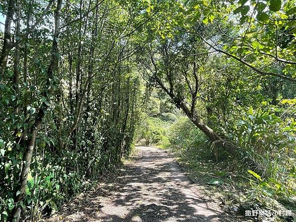 eZy Watermark_15-03-2023_06-36-00下午 (1).JPG