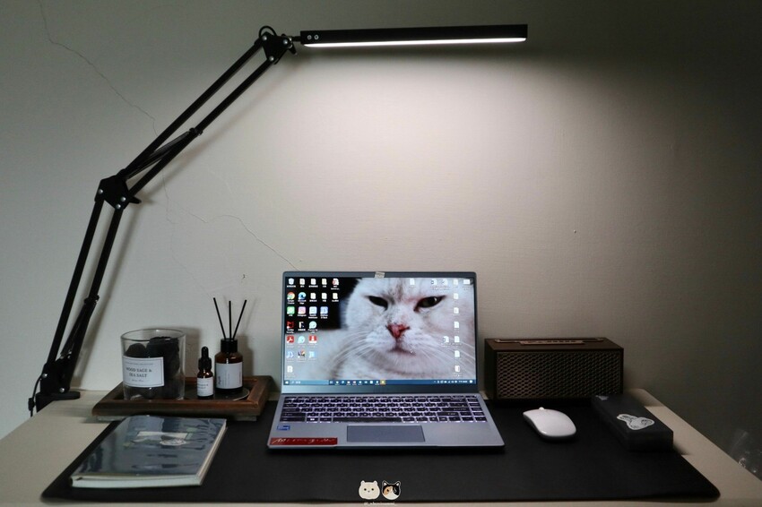 書桌佈置好物分享|NAUGHTY GHOST頑皮鬼-莫蘭墊系列,皮革軟木桌墊,辦公用餐都可搭配佈置,素色/彩繪款超多