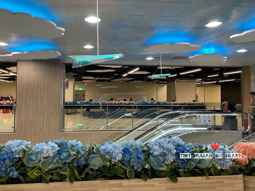 2023 台北免費親子景點【松山機場看飛機】偽出國半日遊行程