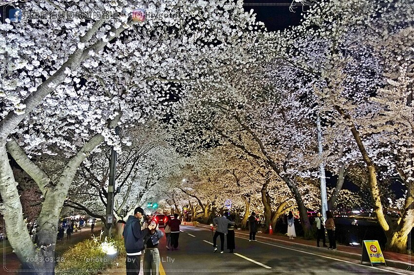 57)慶尚北道．慶州｜好吃平價的牛肉湯飯，白飯.火腿.煎蛋免費吃到飽，慶州高速巴士站旁的37年傳統慶州市場湯飯 @我在前往韓國旅遊的路上