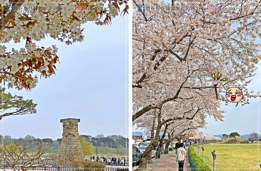 57)慶尚北道．慶州｜超濃郁Richoya抹茶瞻星台冰淇淋，鄰近瞻星台.韓屋星巴克，瞻星台櫻花也超美 @我在前往韓國旅遊的路上