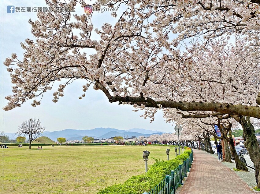 57)慶尚北道．慶州｜超濃郁Richoya抹茶瞻星台冰淇淋，鄰近瞻星台.韓屋星巴克，瞻星台櫻花也超美 @我在前往韓國旅遊的路上