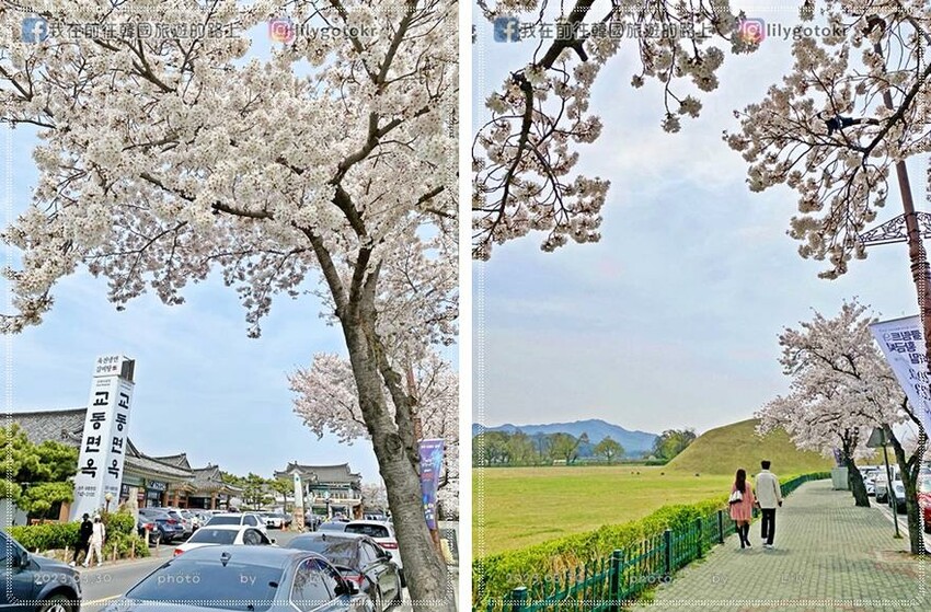 57)慶尚北道．慶州｜超濃郁Richoya抹茶瞻星台冰淇淋，鄰近瞻星台.韓屋星巴克，瞻星台櫻花也超美 @我在前往韓國旅遊的路上