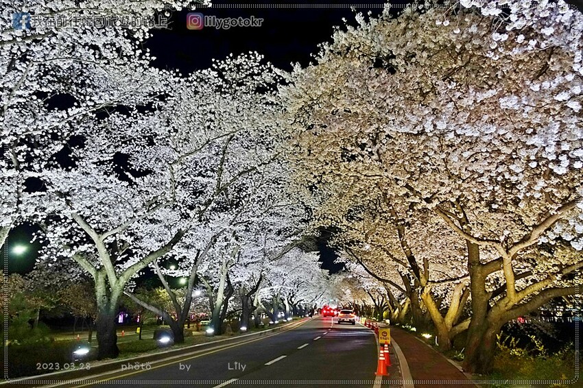 57)慶尚北道．慶州｜好吃平價的牛肉湯飯，白飯.火腿.煎蛋免費吃到飽，慶州高速巴士站旁的37年傳統慶州市場湯飯 @我在前往韓國旅遊的路上