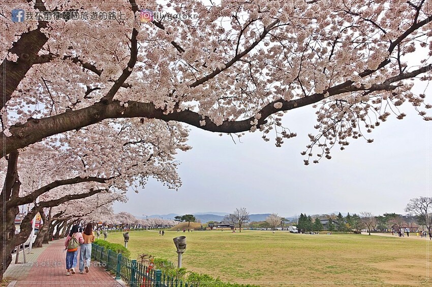 57)慶尚北道．慶州｜超濃郁Richoya抹茶瞻星台冰淇淋，鄰近瞻星台.韓屋星巴克，瞻星台櫻花也超美 @我在前往韓國旅遊的路上