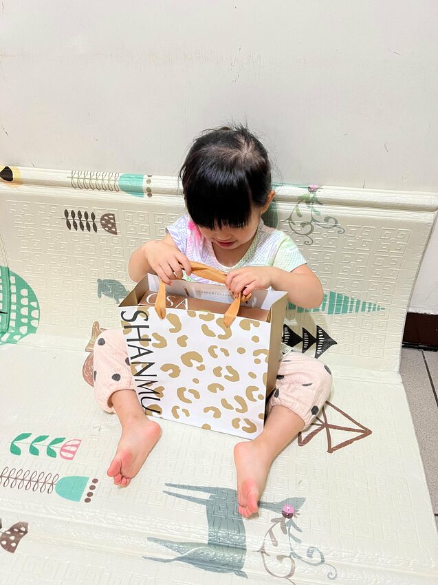 【山木島】石虎手工餅乾禮盒