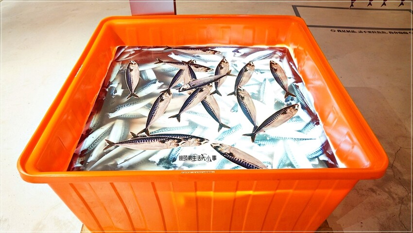 /tmp/php33KZT5 /tmp/php33KZT5