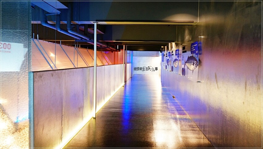 /tmp/phpKj2SaM /tmp/phpKj2SaM