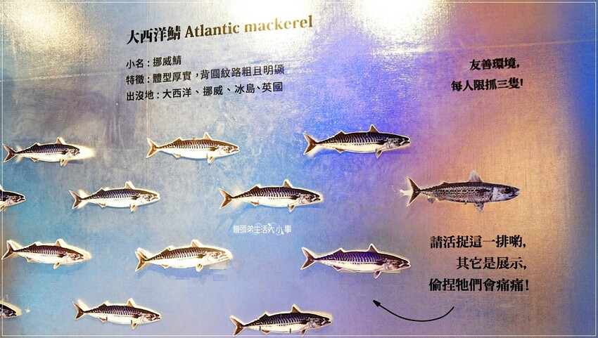 /tmp/phpbBqj8N /tmp/phpbBqj8N