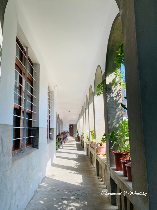 【台南將軍】「方圓美術館」文青景點|圓拱迴廊融合中西建築|徜徉在藝術展品中|