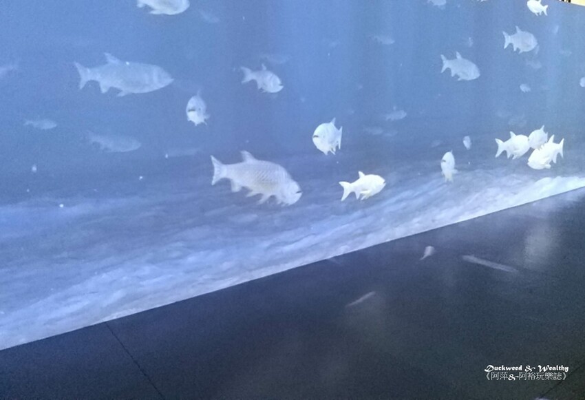 【台南官田景點】隆田文化資產教育園區∣全台最大主題式沉浸劇場∣親子互動旅遊首選∣