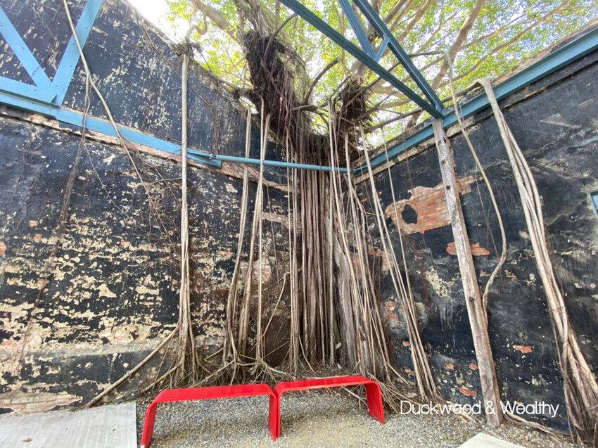 【台南官田景點】隆田文化資產教育園區∣全台最大主題式沉浸劇場∣親子互動旅遊首選∣