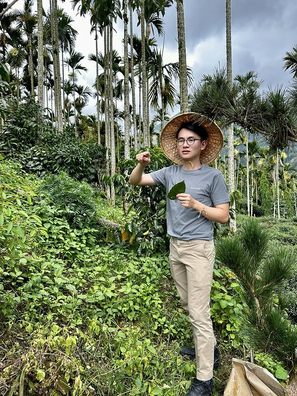 【台灣,嘉義縣,梅山鄉】茗園茶葉民宿「阿里山群山躍」舌尖上的阿里山咖啡交響樂。(阿里山美食/梅山美食