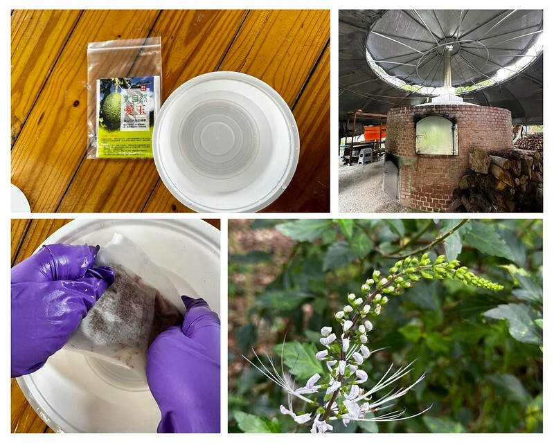 「2023浪漫台三線藝術季」跨越5個縣市、17個鄉鎮,一日小旅行,感受客家文化和藝術之美。(6月24日~8月27