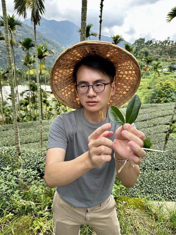 【台灣,嘉義縣,梅山鄉】茗園茶葉民宿「阿里山群山躍」舌尖上的阿里山咖啡交響樂。(阿里山美食/梅山美食