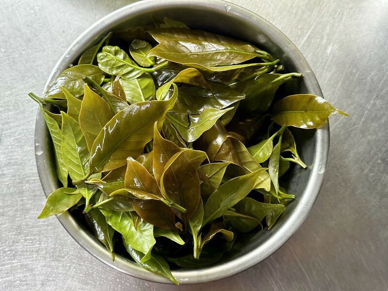 【台灣,嘉義縣,梅山鄉】茗園茶葉民宿「阿里山群山躍」舌尖上的阿里山咖啡交響樂。(阿里山美食/梅山美食