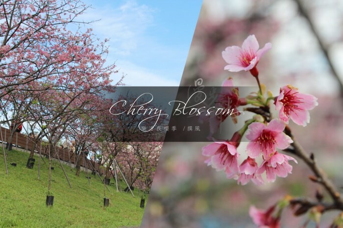 「2023桃園地景藝術節－龍潭展區」流於膚淺與讓人失望的巨大Hello Kitty展出！主辦單位真的有思考客家精神