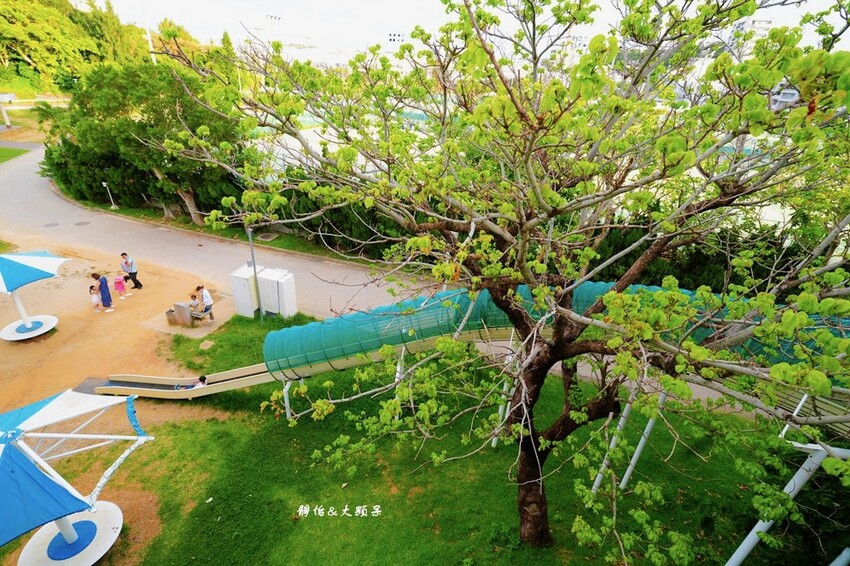 IMG_9339.JPG IMG_9339.JPG