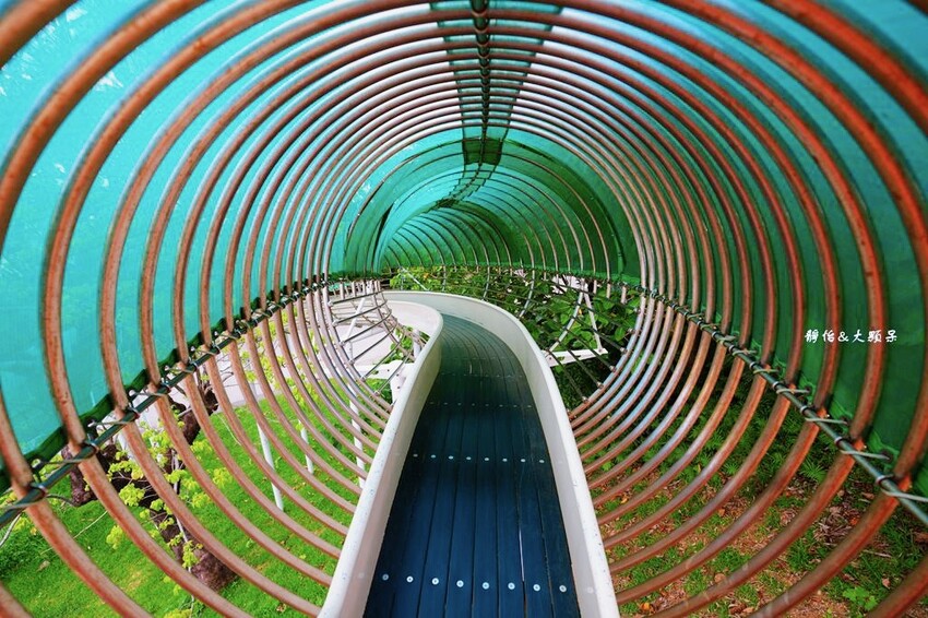 IMG_9371.JPG IMG_9371.JPG