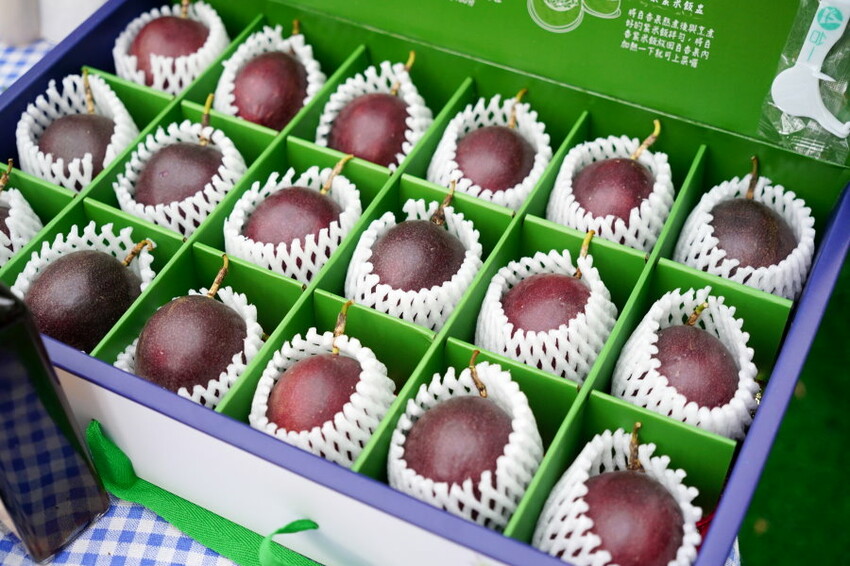 【埔里】台一生態休閒農場．愛上百香藤蔓宴! 療癒的下午茶時光~