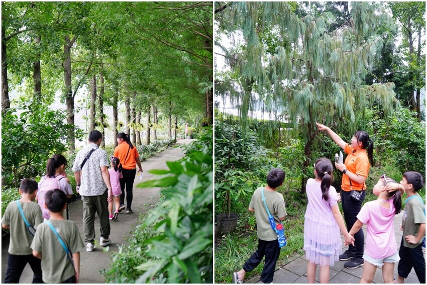 【埔里】台一生態休閒農場．愛上百香藤蔓宴! 療癒的下午茶時光~