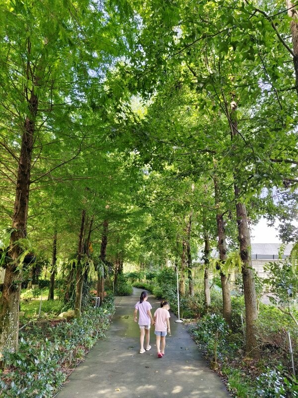 【埔里】台一生態休閒農場．愛上百香藤蔓宴! 療癒的下午茶時光~