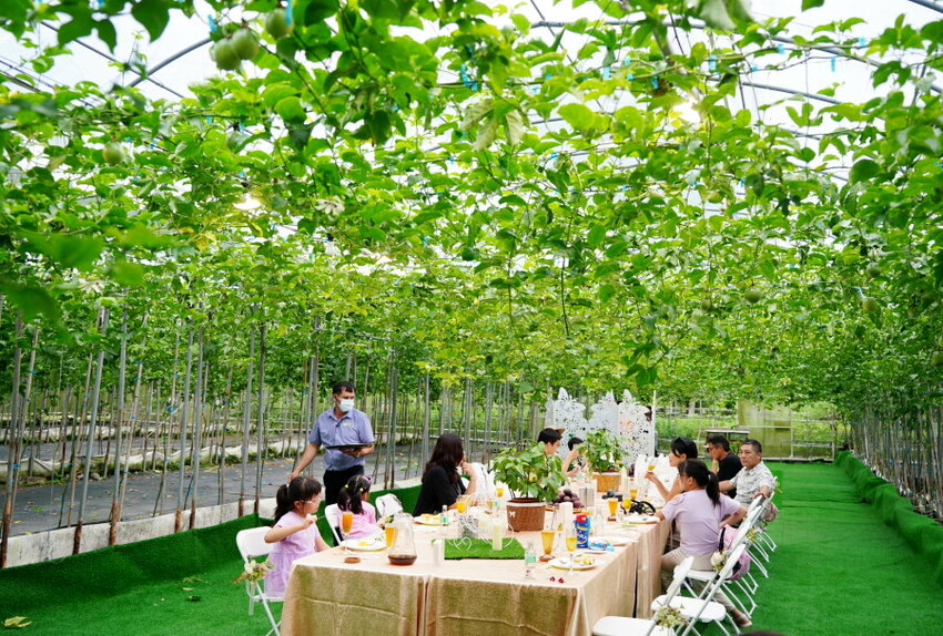 【埔里】台一生態休閒農場．愛上百香藤蔓宴! 療癒的下午茶時光~