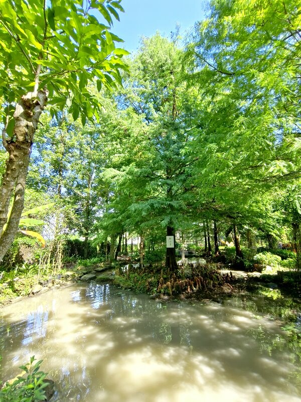 【埔里】台一生態休閒農場．愛上百香藤蔓宴! 療癒的下午茶時光~