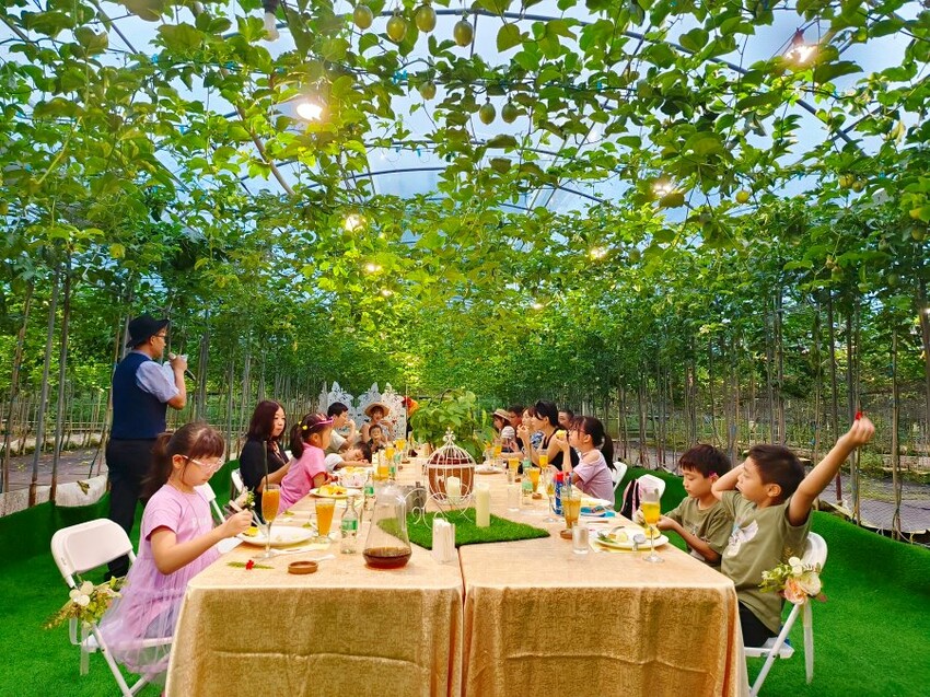 【埔里】台一生態休閒農場．愛上百香藤蔓宴! 療癒的下午茶時光~