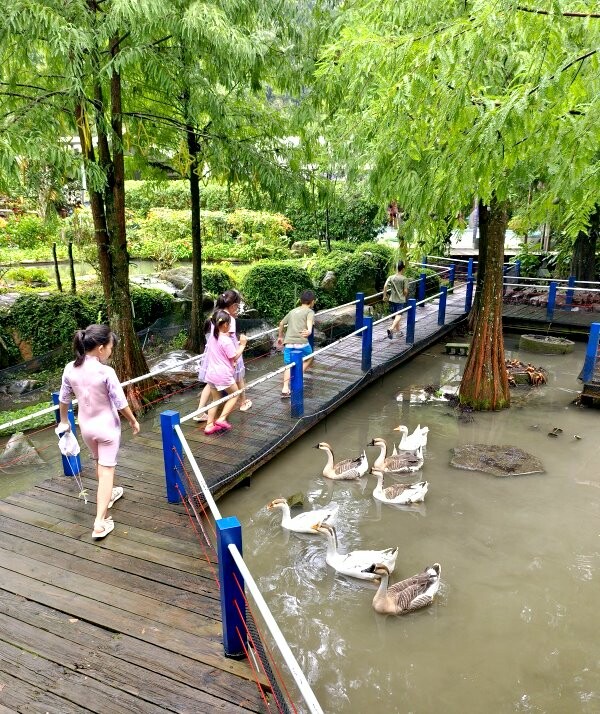 【埔里】台一生態休閒農場．愛上百香藤蔓宴! 療癒的下午茶時光~