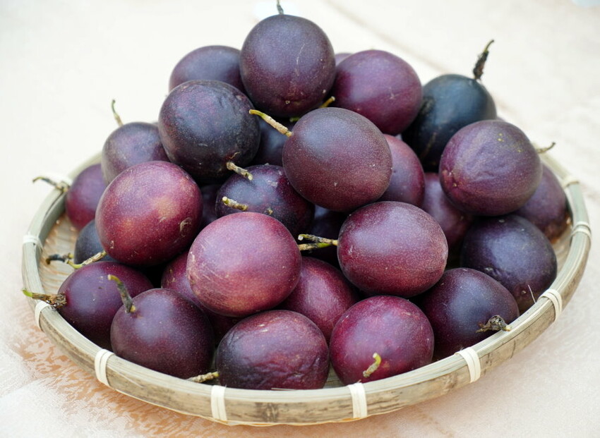 【埔里】台一生態休閒農場．愛上百香藤蔓宴! 療癒的下午茶時光~