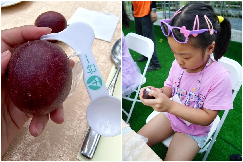 【埔里】台一生態休閒農場．愛上百香藤蔓宴! 療癒的下午茶時光~