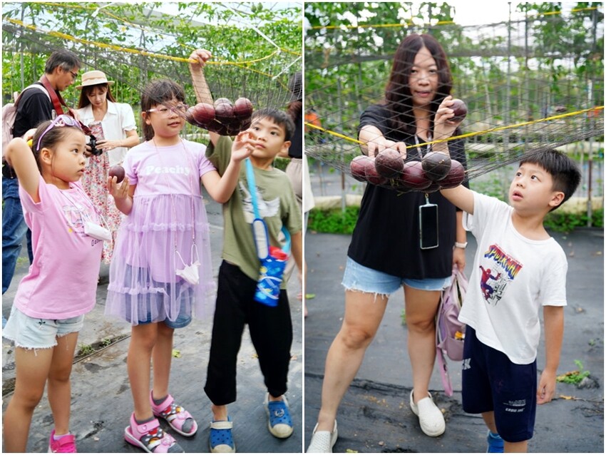 【埔里】台一生態休閒農場．愛上百香藤蔓宴! 療癒的下午茶時光~