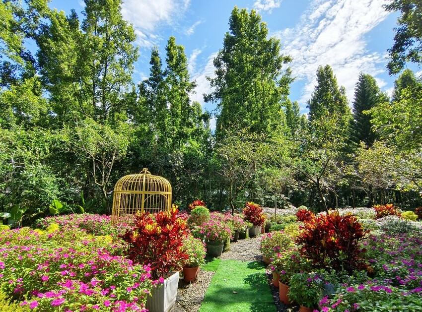 【埔里】台一生態休閒農場．愛上百香藤蔓宴! 療癒的下午茶時光~