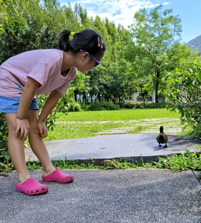 【埔里】台一生態休閒農場．愛上百香藤蔓宴! 療癒的下午茶時光~
