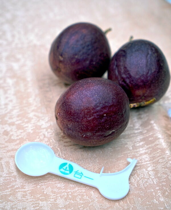 【埔里】台一生態休閒農場．愛上百香藤蔓宴! 療癒的下午茶時光~