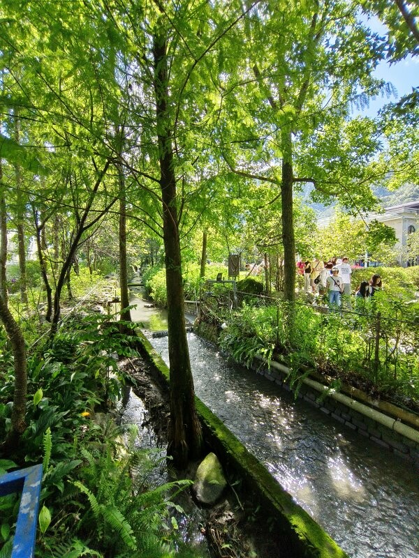 【埔里】台一生態休閒農場．愛上百香藤蔓宴! 療癒的下午茶時光~