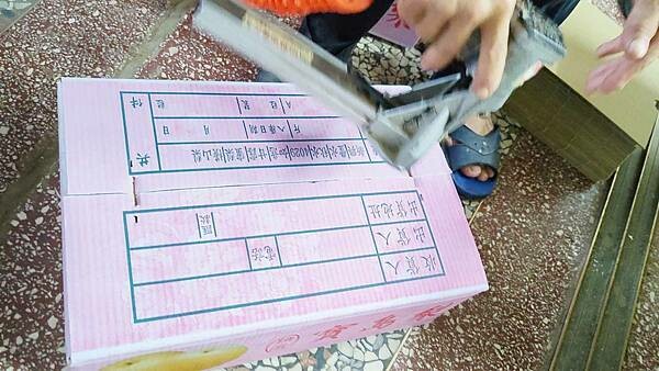 苗栗大湖尊梨季|巨無霸水梨!比臉還要巨大,高達2.5斤的牛奶甘庶般美味的甘露梨