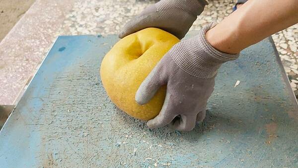 苗栗大湖尊梨季|巨無霸水梨!比臉還要巨大,高達2.5斤的牛奶甘庶般美味的甘露梨