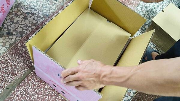 苗栗大湖尊梨季|巨無霸水梨!比臉還要巨大,高達2.5斤的牛奶甘庶般美味的甘露梨