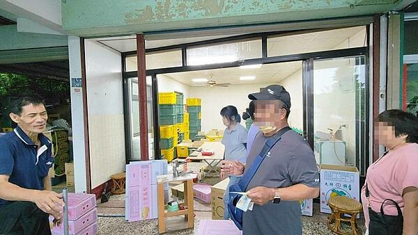 苗栗大湖尊梨季|巨無霸水梨!比臉還要巨大,高達2.5斤的牛奶甘庶般美味的甘露梨