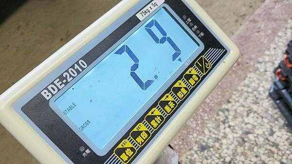 苗栗大湖尊梨季|巨無霸水梨!比臉還要巨大,高達2.5斤的牛奶甘庶般美味的甘露梨