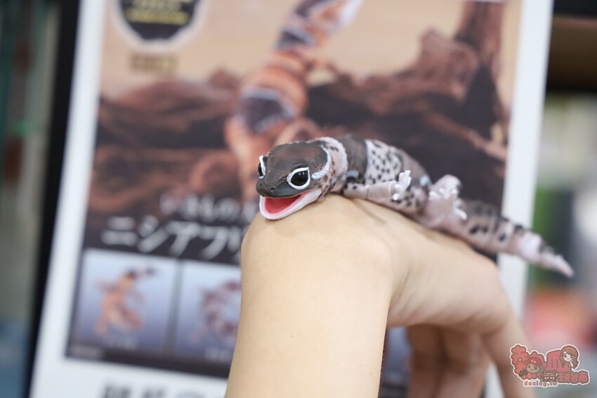 【台南景點】扭蛋將軍x轉蛋概念館旗艦店!台南的寶可夢中心,台南最大扭蛋店,盲盒一番賞玩起來~ - 熱血玩台南。跳躍新世界