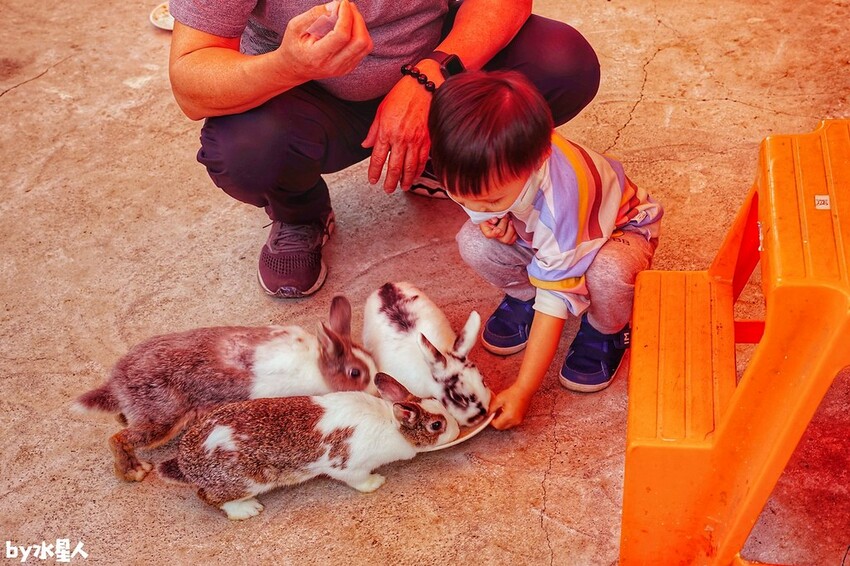 石川鹿生態觀光農場