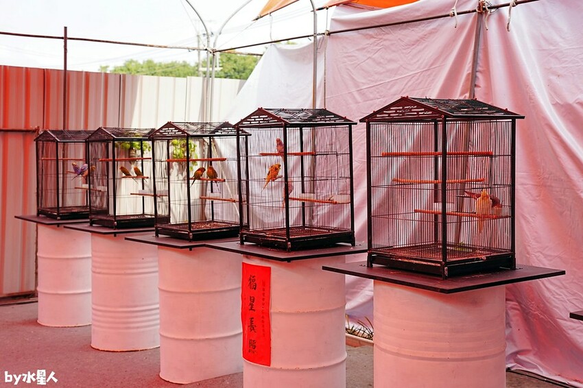 石川鹿生態觀光農場