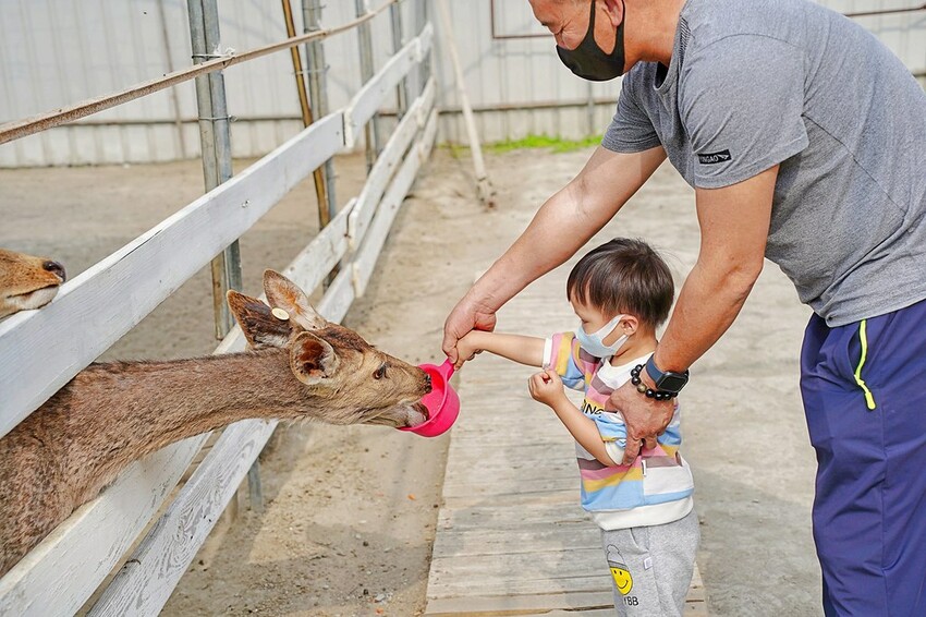 石川鹿生態觀光農場